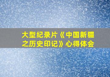 大型纪录片《中国新疆之历史印记》心得体会