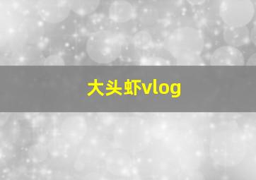 大头虾vlog