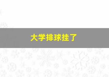 大学排球挂了