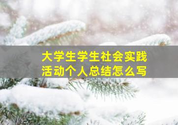 大学生学生社会实践活动个人总结怎么写