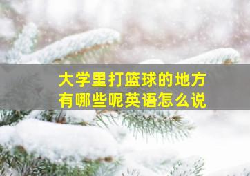 大学里打篮球的地方有哪些呢英语怎么说