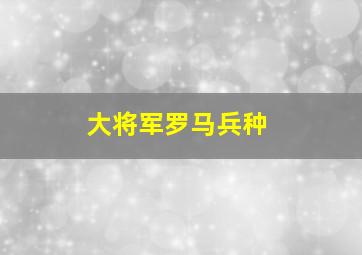 大将军罗马兵种