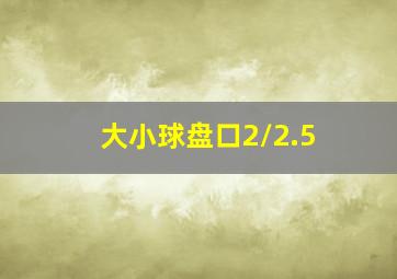 大小球盘口2/2.5