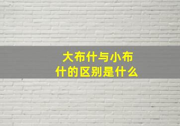 大布什与小布什的区别是什么