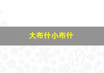 大布什小布什