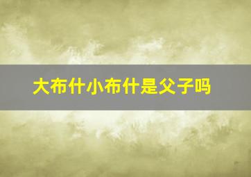 大布什小布什是父子吗