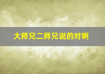 大师兄二师兄说的对啊