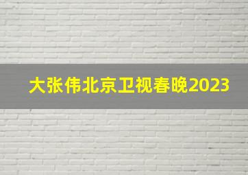 大张伟北京卫视春晚2023