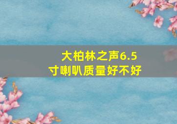 大柏林之声6.5寸喇叭质量好不好