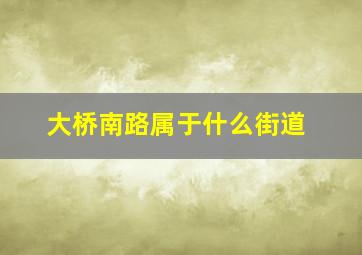 大桥南路属于什么街道