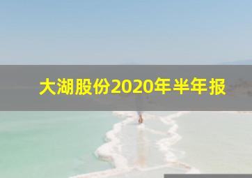 大湖股份2020年半年报