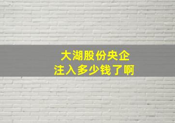 大湖股份央企注入多少钱了啊