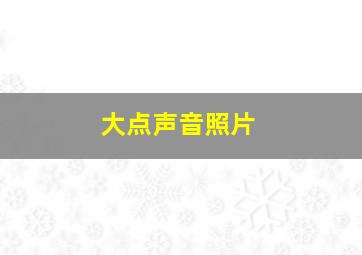 大点声音照片