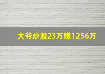 大爷炒股23万赚1256万