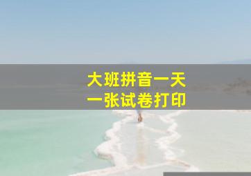 大班拼音一天一张试卷打印