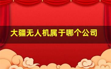 大疆无人机属于哪个公司