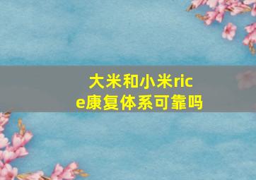 大米和小米rice康复体系可靠吗