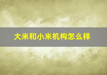 大米和小米机构怎么样