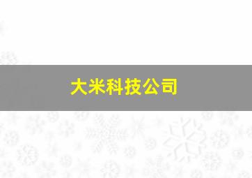 大米科技公司