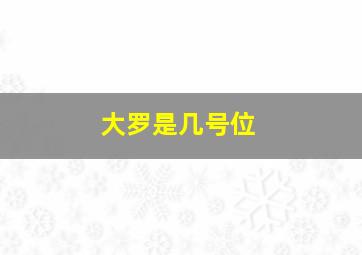 大罗是几号位