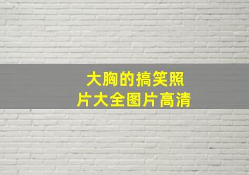 大胸的搞笑照片大全图片高清