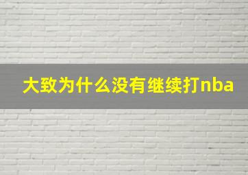 大致为什么没有继续打nba