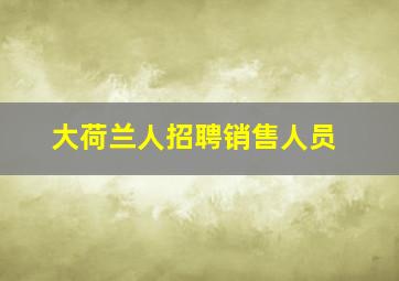 大荷兰人招聘销售人员