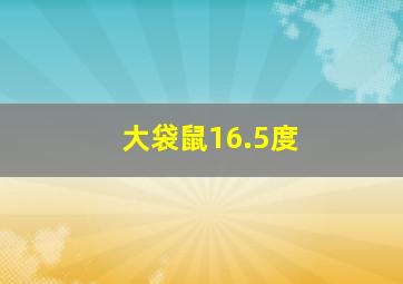 大袋鼠16.5度