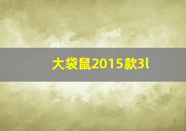 大袋鼠2015款3l