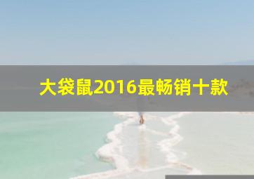 大袋鼠2016最畅销十款