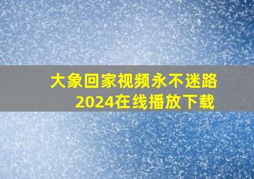 大象回家视频永不迷路2024在线播放下载