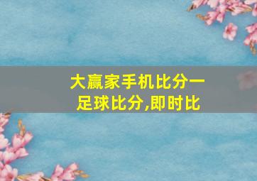 大赢家手机比分一足球比分,即时比