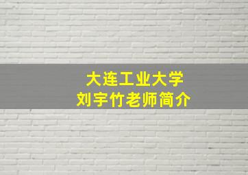 大连工业大学刘宇竹老师简介