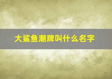 大鲨鱼潮牌叫什么名字