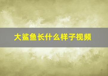 大鲨鱼长什么样子视频