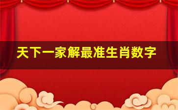 天下一家解最准生肖数字