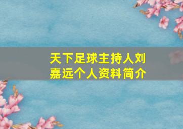 天下足球主持人刘嘉远个人资料简介