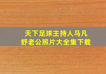 天下足球主持人马凡舒老公照片大全集下载