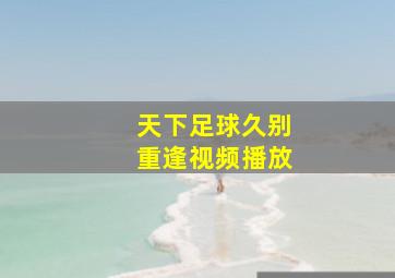 天下足球久别重逢视频播放