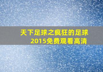 天下足球之疯狂的足球2015免费观看高清