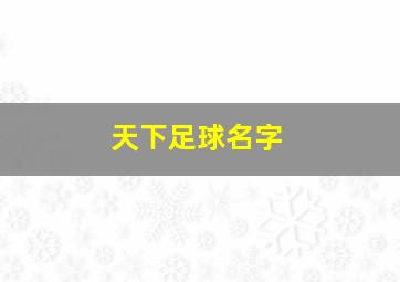 天下足球名字