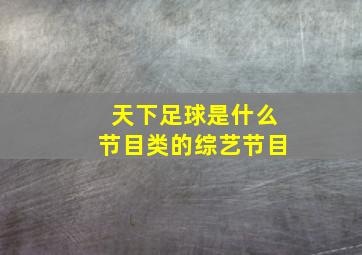 天下足球是什么节目类的综艺节目