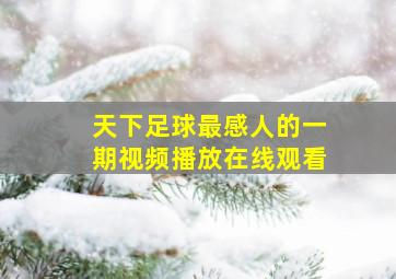 天下足球最感人的一期视频播放在线观看