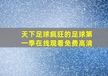 天下足球疯狂的足球第一季在线观看免费高清