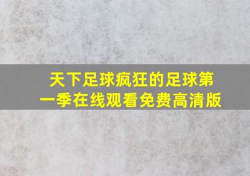 天下足球疯狂的足球第一季在线观看免费高清版