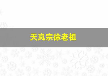 天岚宗徐老祖