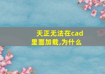 天正无法在cad里面加载,为什么