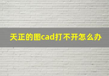 天正的图cad打不开怎么办