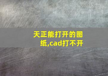 天正能打开的图纸,cad打不开