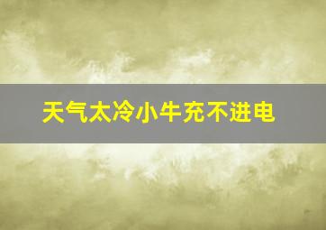 天气太冷小牛充不进电